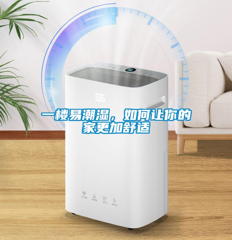 一樓易潮濕，如何讓你的家更加舒適