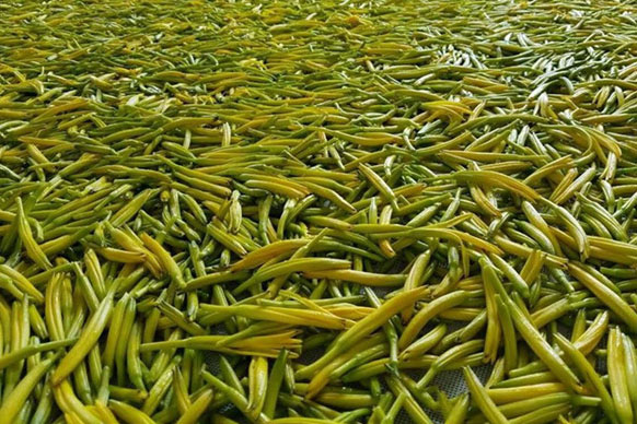 無(wú)硫金針菜烘干如何保持品相？不發(fā)黑？