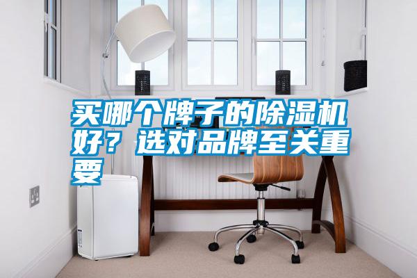 買哪個牌子的除濕機好？選對品牌至關(guān)重要