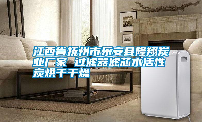江西省撫州市樂安縣隆翔炭業(yè)廠家 過(guò)濾器濾芯水活性炭烘干干燥
