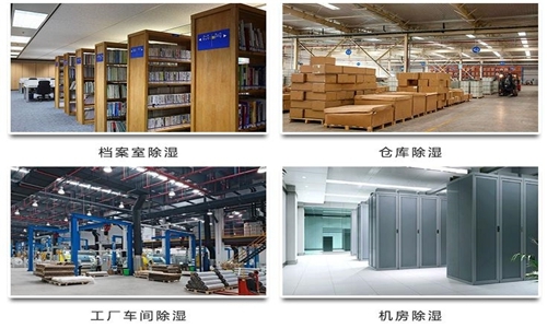 為什么竹筍烘干房需要除濕機？