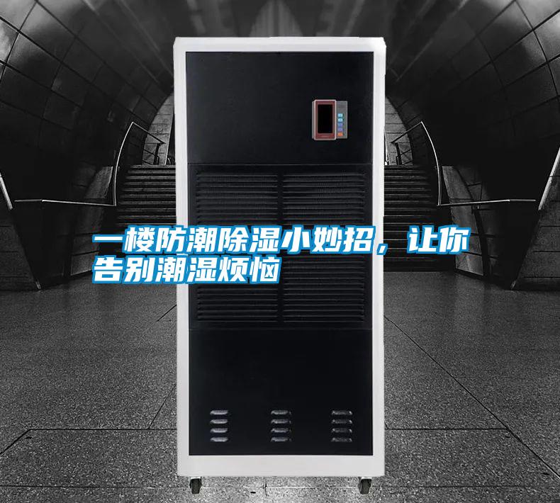 一樓防潮除濕小妙招，讓你告別潮濕煩惱