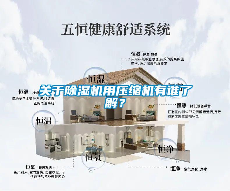 關(guān)于除濕機(jī)用壓縮機(jī)有誰了解？
