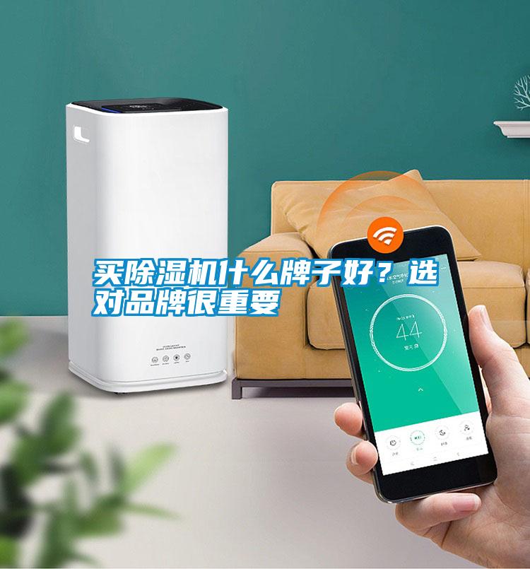 買除濕機什么牌子好？選對品牌很重要