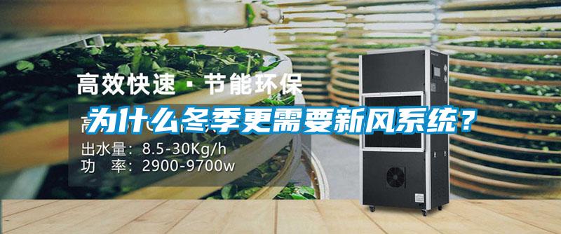 為什么冬季更需要新風(fēng)系統(tǒng)？