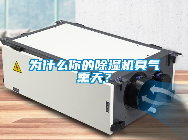 為什么你的除濕機臭氣熏天？