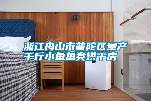 浙江舟山市普陀區(qū)量產千斤小魚魚類烘干房