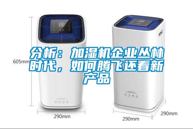 分析：加濕機企業(yè)叢林時代，如何騰飛還看新產(chǎn)品