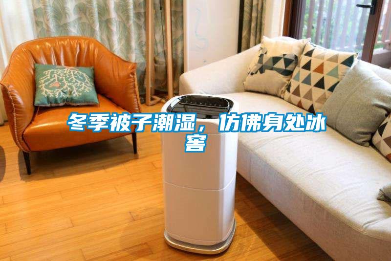 冬季被子潮濕，仿佛身處冰窖