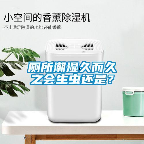 廁所潮濕久而久之會(huì)生蟲還是？