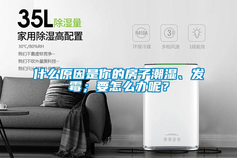 什么原因是你的房子潮濕、發(fā)霉；要怎么辦呢？