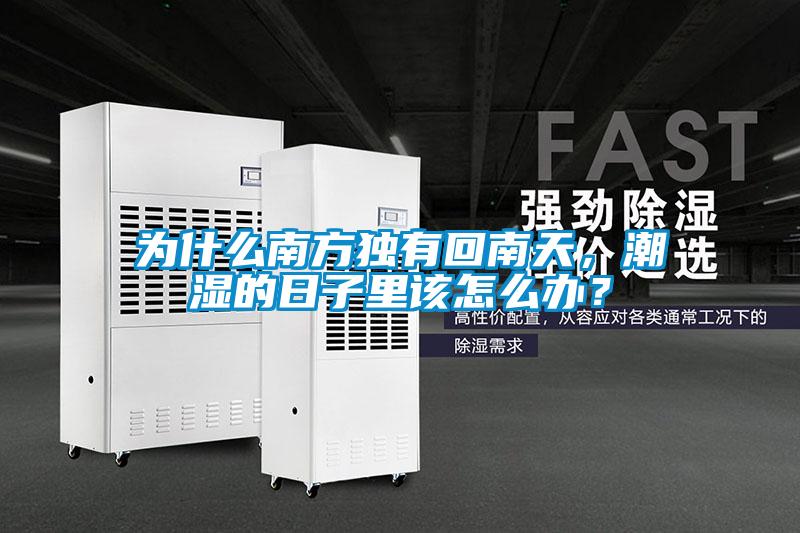 為什么南方獨(dú)有回南天，潮濕的日子里該怎么辦？