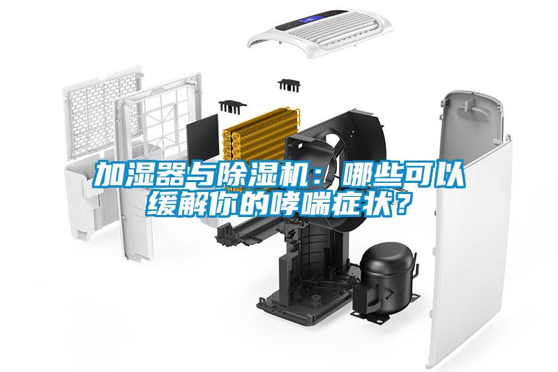 加濕器與除濕機(jī)：哪些可以緩解你的哮喘癥狀？