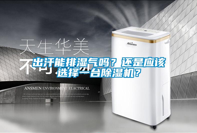 出汗能排濕氣嗎？還是應(yīng)該選擇一臺(tái)除濕機(jī)？
