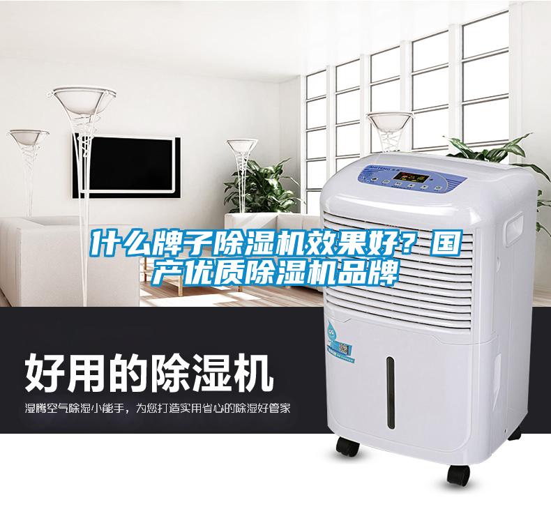 什么牌子除濕機效果好？國產(chǎn)優(yōu)質(zhì)除濕機品牌