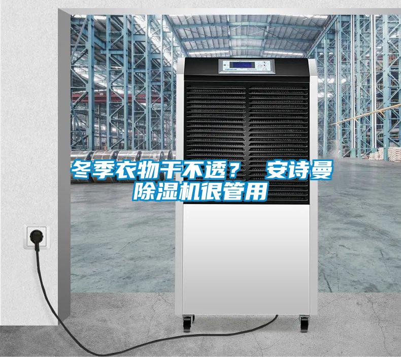 冬季衣物干不透？ 安詩曼除濕機很管用