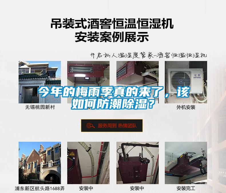 今年的梅雨季真的來了，該如何防潮除濕？