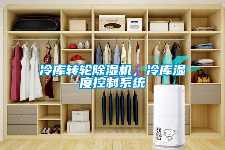 冷庫轉(zhuǎn)輪除濕機(jī)，冷庫濕度控制系統(tǒng)