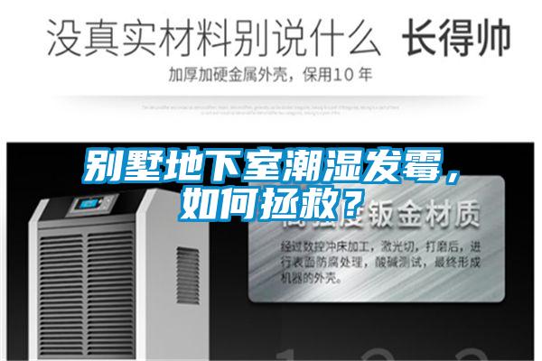 別墅地下室潮濕發(fā)霉，如何拯救？