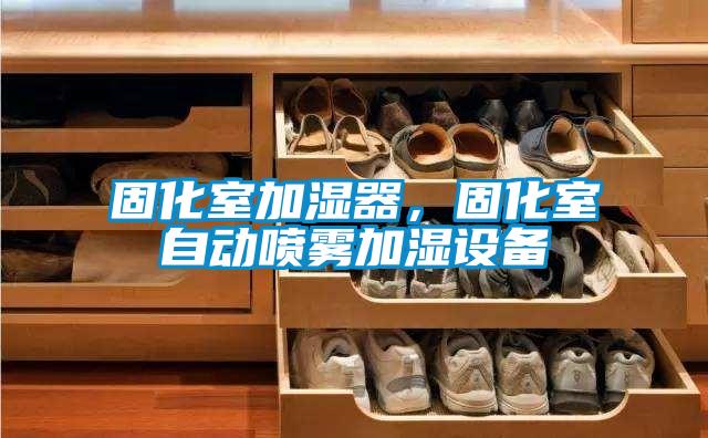 固化室加濕器，固化室自動噴霧加濕設備
