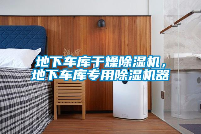 地下車庫(kù)干燥除濕機(jī)，地下車庫(kù)專用除濕機(jī)器