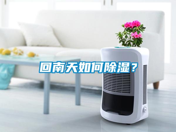 回南天如何除濕？