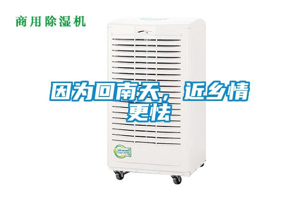 因?yàn)榛啬咸?，近鄉(xiāng)情更怯