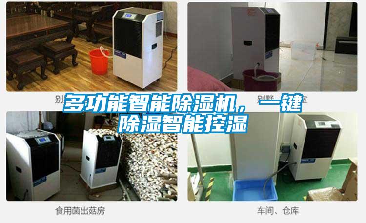多功能智能除濕機，一鍵除濕智能控濕