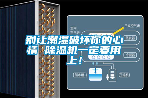 別讓潮濕破壞你的心情 除濕機(jī)一定要用上！