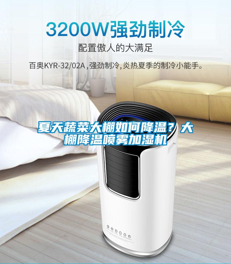 夏天蔬菜大棚如何降溫？大棚降溫噴霧加濕機