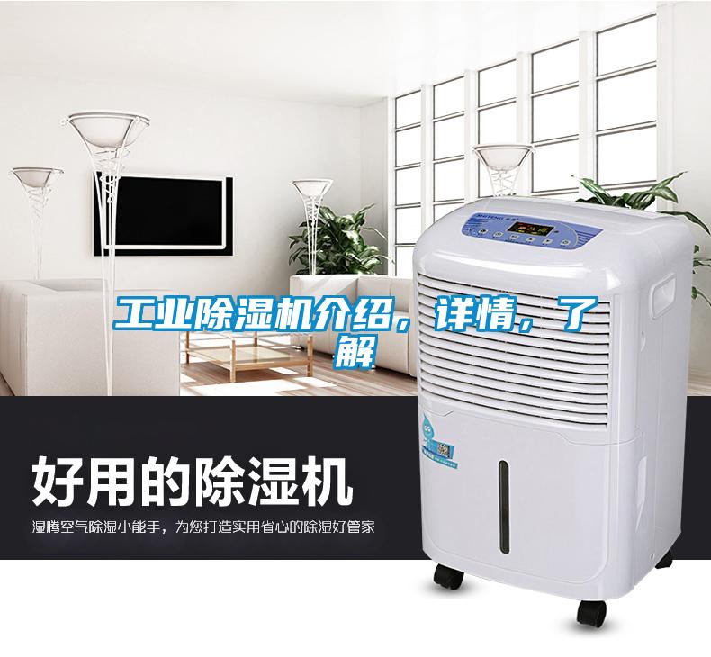 工業(yè)除濕機介紹，詳情，了解