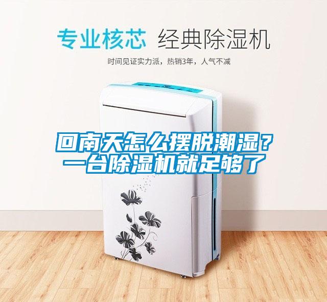 回南天怎么擺脫潮濕？一臺除濕機就足夠了