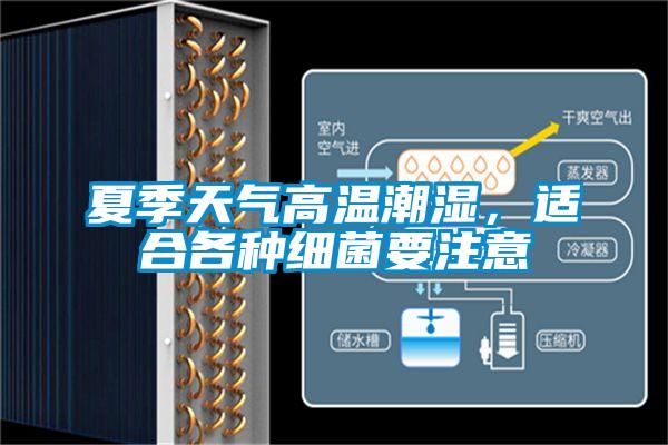 夏季天氣高溫潮濕，適合各種細(xì)菌要注意