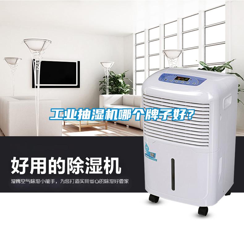 工業(yè)抽濕機(jī)哪個牌子好？