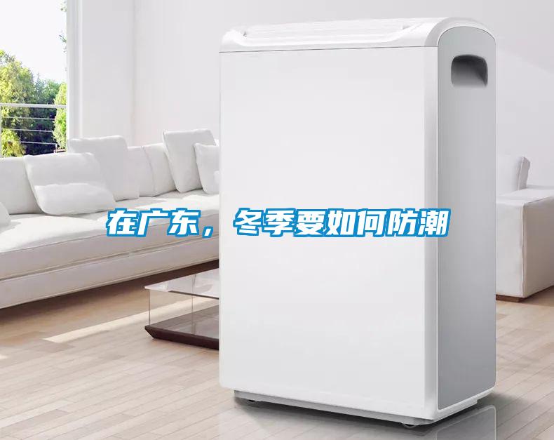 在廣東，冬季要如何防潮