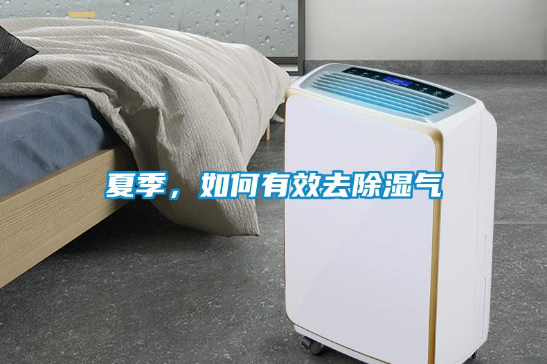 夏季，如何有效去除濕氣