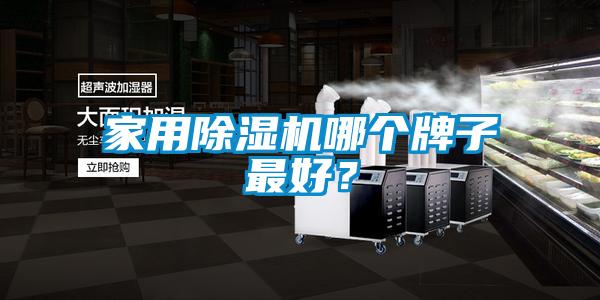 家用除濕機(jī)哪個(gè)牌子最好？