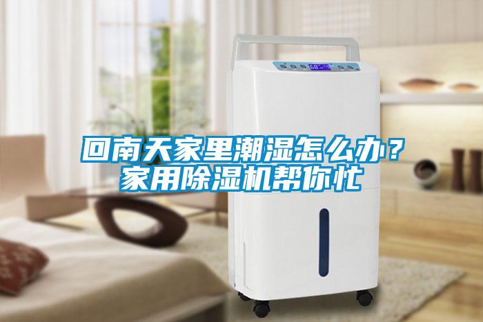 回南天家里潮濕怎么辦？家用除濕機(jī)幫你忙