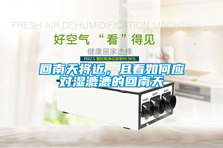 回南天將近，且看如何應(yīng)對濕漉漉的回南天