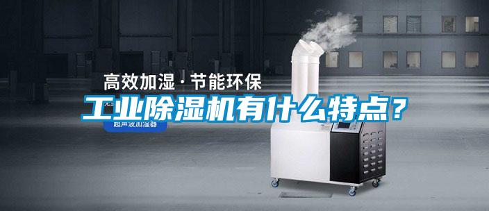 工業(yè)除濕機(jī)有什么特點(diǎn)？
