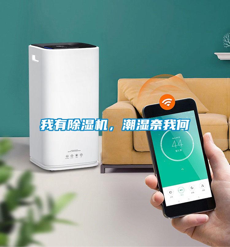 我有除濕機，潮濕奈我何