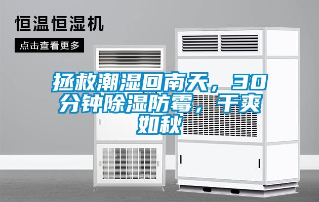 拯救潮濕回南天，30分鐘除濕防霉，干爽如秋