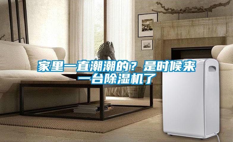 家里一直潮潮的？是時候來一臺除濕機了