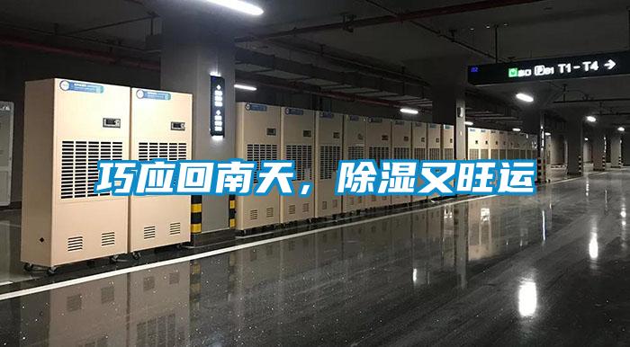 巧應(yīng)回南天，除濕又旺運(yùn)