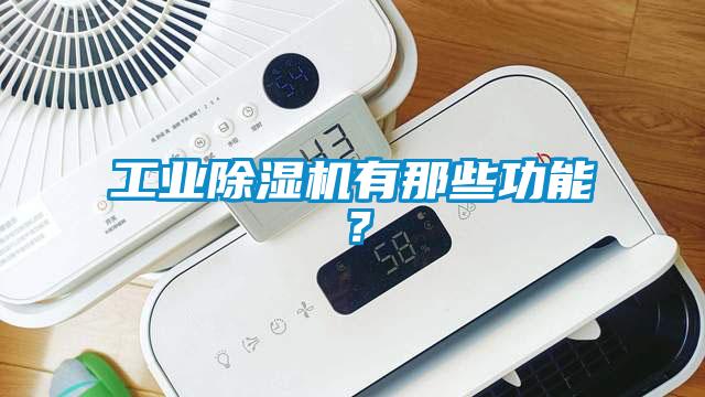 工業(yè)除濕機(jī)有那些功能？