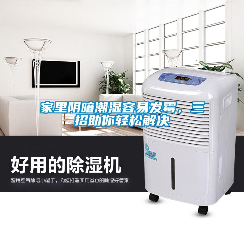 家里陰暗潮濕容易發(fā)霉，三招助你輕松解決