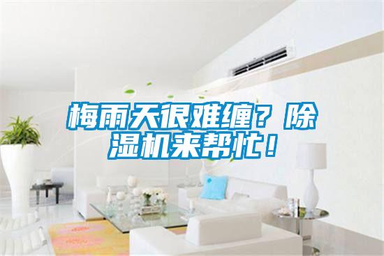 梅雨天很難纏？除濕機來幫忙！