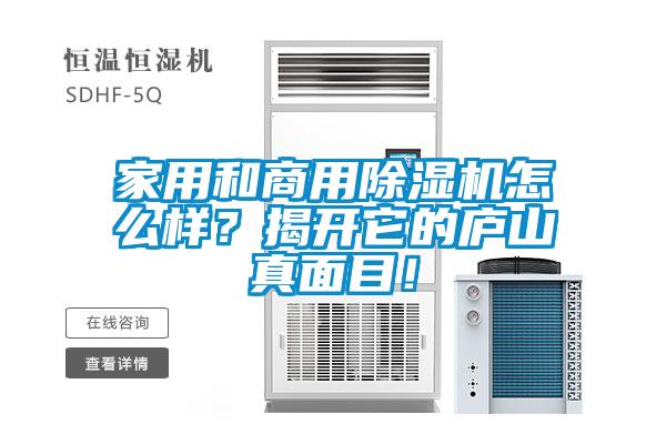 家用和商用除濕機(jī)怎么樣？揭開它的廬山真面目！