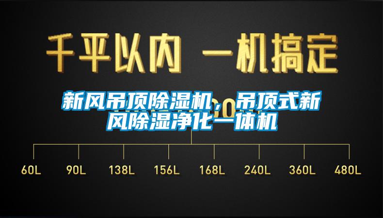 新風(fēng)吊頂除濕機(jī)，吊頂式新風(fēng)除濕凈化一體機(jī)