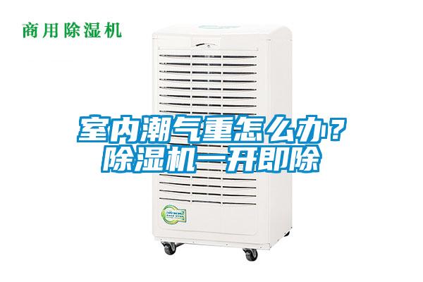 室內(nèi)潮氣重怎么辦？除濕機一開即除